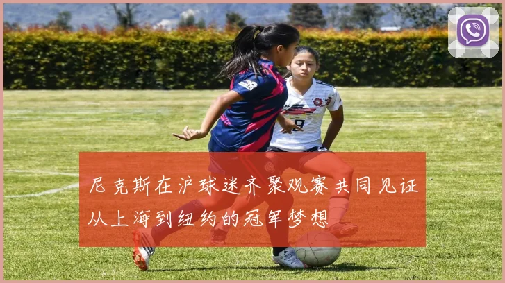 尼克斯在沪球迷齐聚观赛共同见证从上海到纽约的冠军梦想