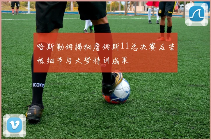 哈斯勒姆揭秘詹姆斯11总决赛后苦练细节与大梦特训成果