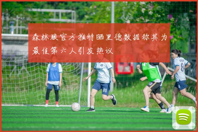 森林狼官方推特晒里德数据称其为最佳第六人引发热议